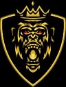 website logo